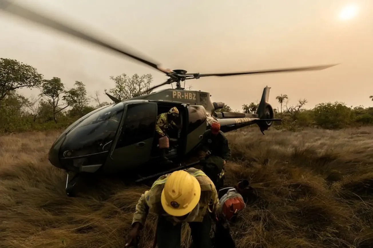 Lula joga dinheiro no fogo com Fundo Amazônia em cerrado e pantanal