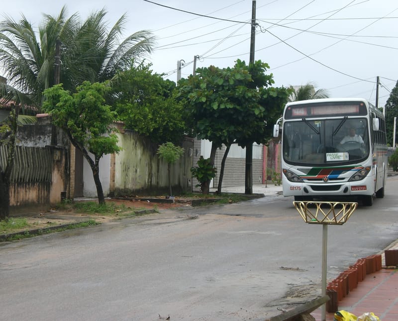 Onibus urbano em rua